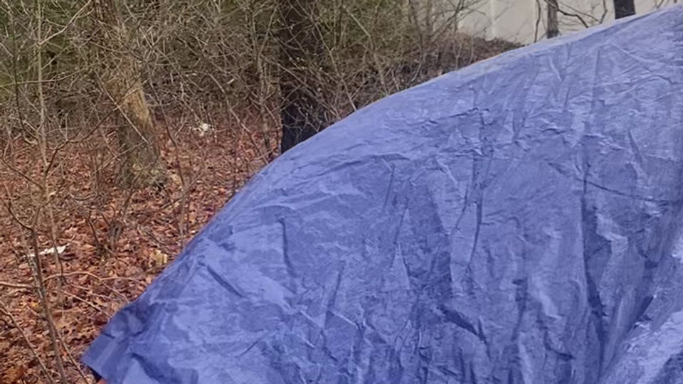 Tent Setup